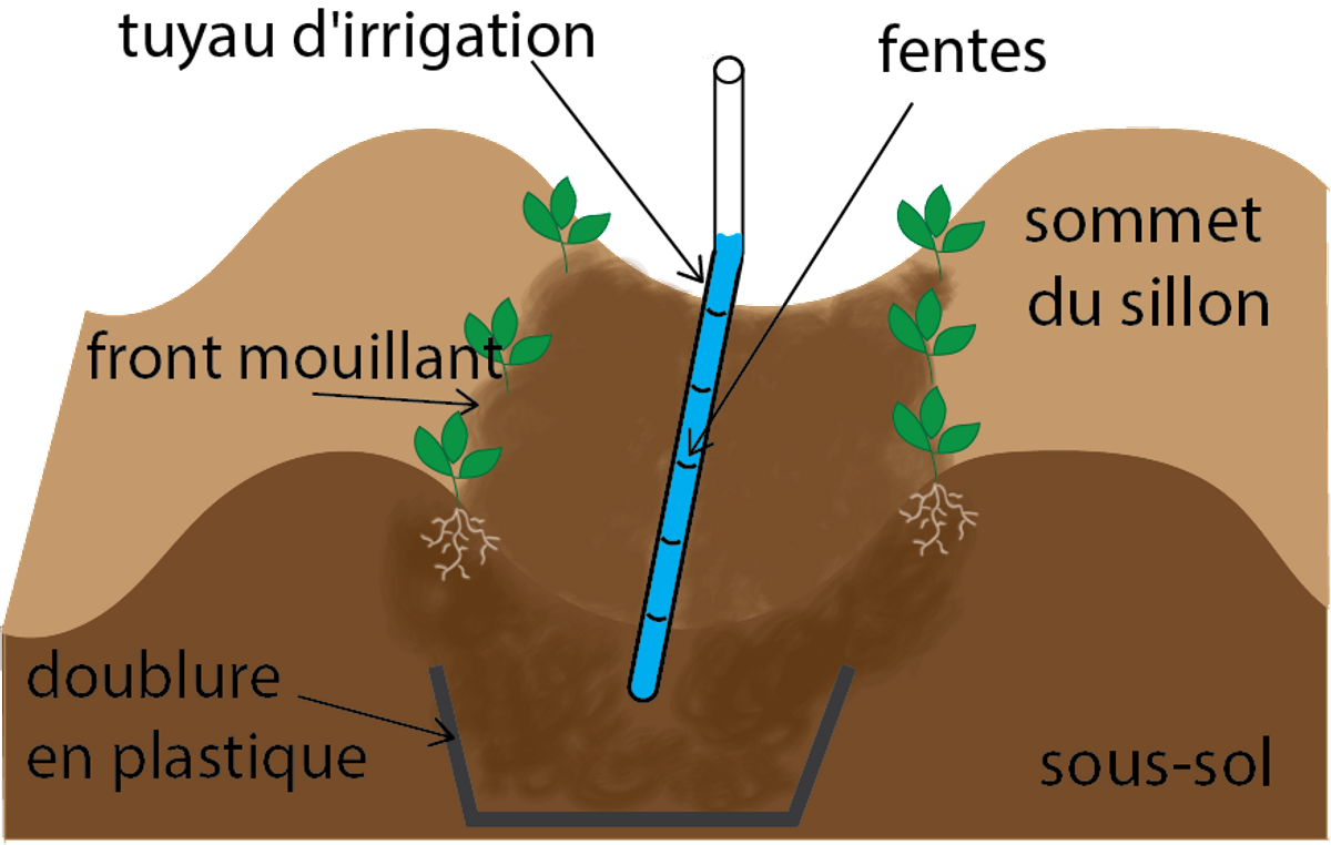 TN95 open wicking bed French